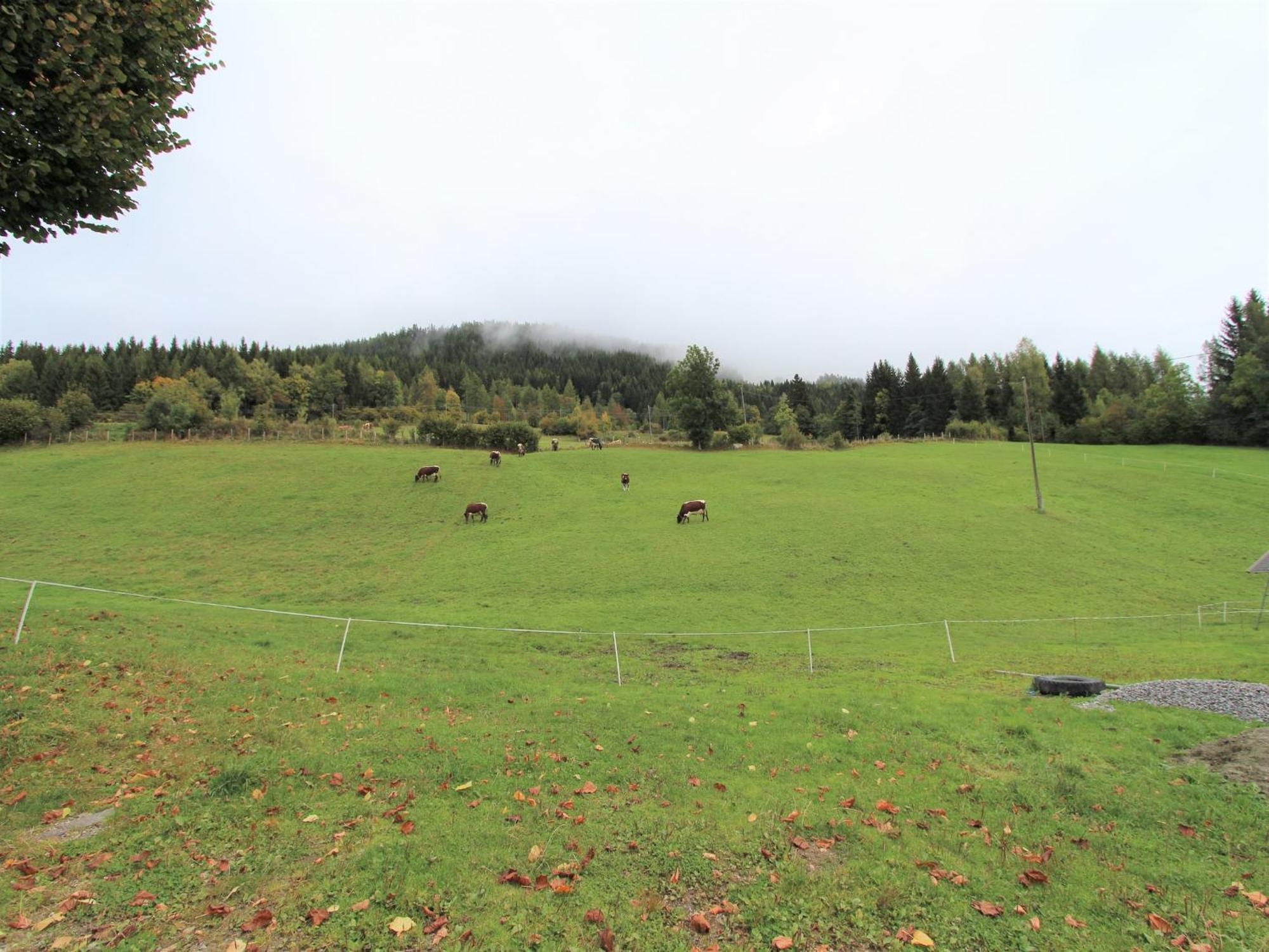 Characterful Old Farmhouse With 4 Apartments In Fresach Carinthia With Garden ภายนอก รูปภาพ